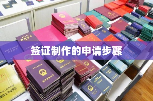 乐至签证制作的申请步骤