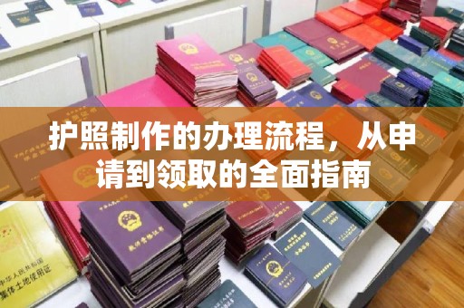 乐至护照制作的办理流程，从申请到领取的全面指南
