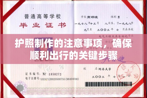 乐至护照制作的注意事项，确保顺利出行的关键步骤