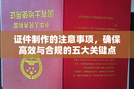 乐至证件制作的注意事项，确保高效与合规的五大关键点