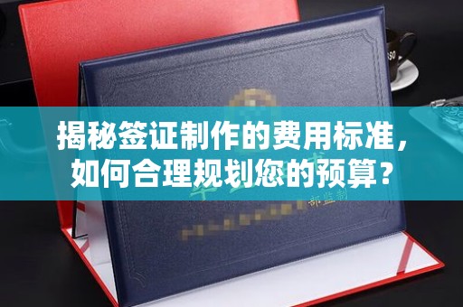乐至揭秘签证制作的费用标准，如何合理规划您的预算？