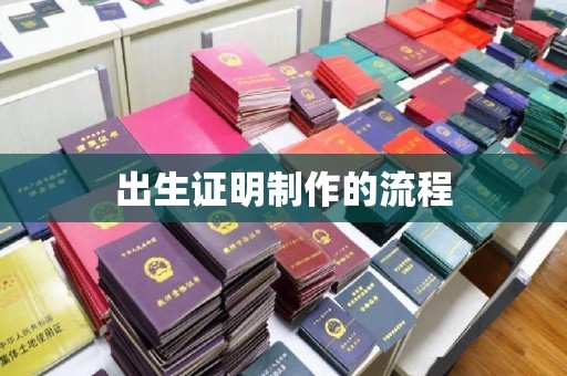 乐至出生证明制作的流程