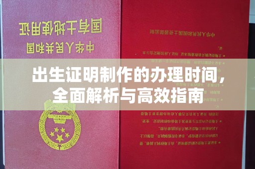 乐至出生证明制作的办理时间，全面解析与高效指南