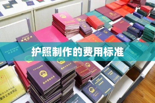 乐至护照制作的费用标准