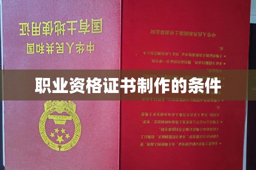 乐至职业资格证书制作的条件