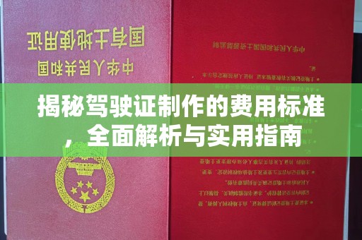 乐至揭秘驾驶证制作的费用标准，全面解析与实用指南