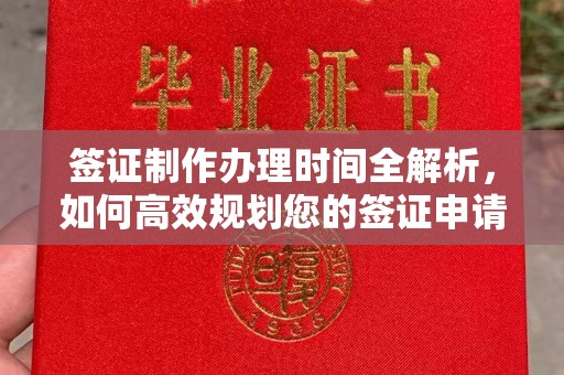 乐至签证制作办理时间全解析，如何高效规划您的签证申请流程